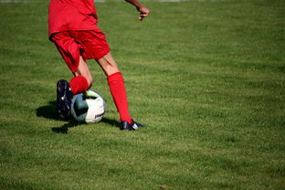 开云官网-法甲营养恢复系统提升球员赛季稳定性调查