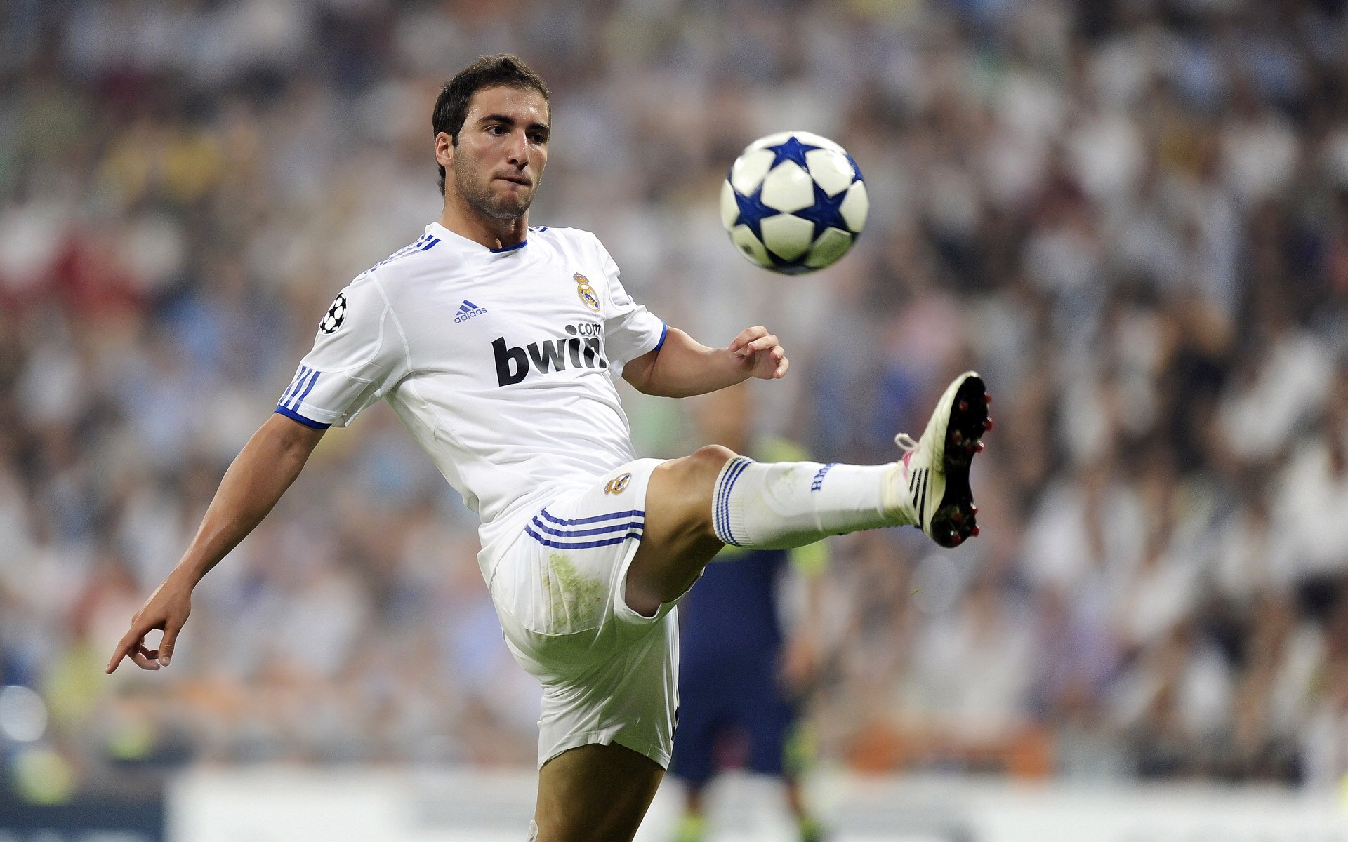 KAIYUNAPP-威尔士橄榄球赛事带动地方经济增长，威尔士输球